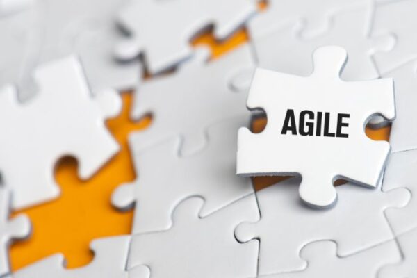 Agile Project Management Online Course - Course Drive