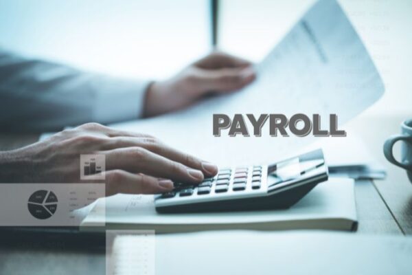 Payroll Management Course Drive